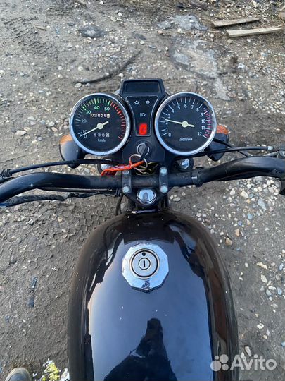 Альфа бандит 110
