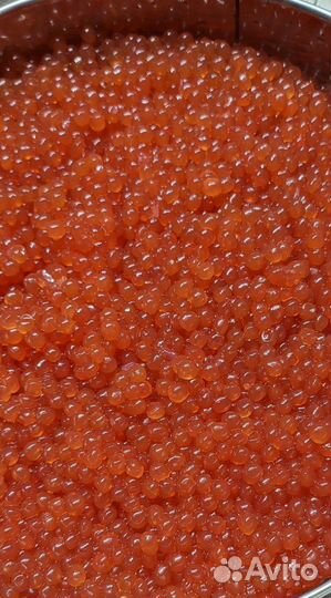 Красная икра оптом. Доставка по РФ