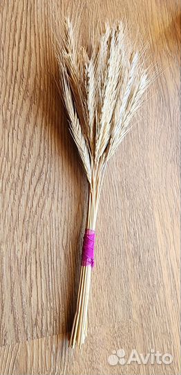 Сухоцветы букет рожь колосья