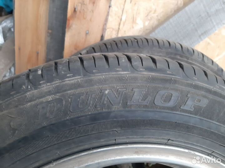 Dunlop All Season Maxx AS1 175/65 R15