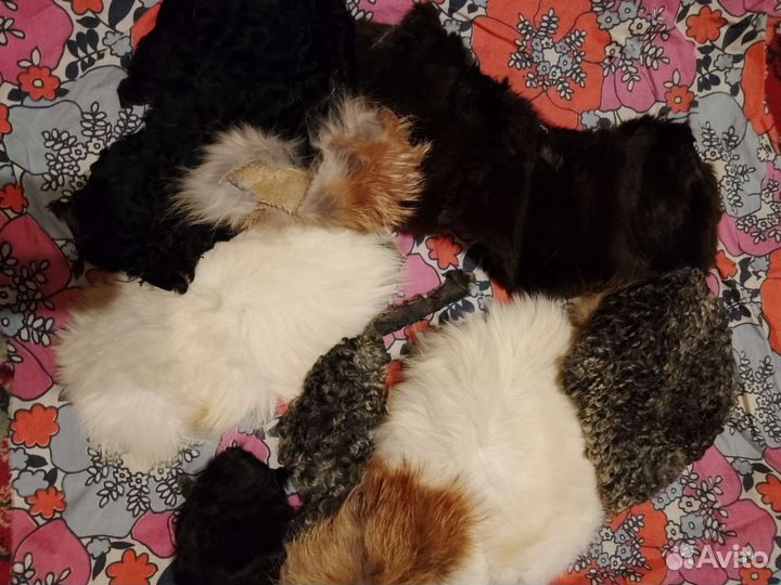 Мех: нутрия, норка, песец, кролик