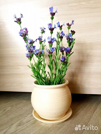 Лаванда из холодного фарфора