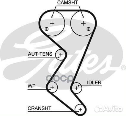 Ремень грм к/кт с помпой 7883-13166 citroen C