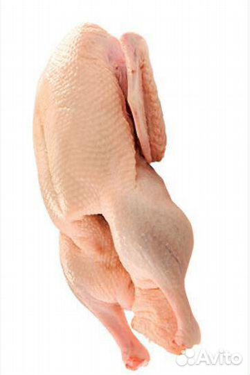 Мясо птицы, утки, бройлеры,индюка, куры, утка