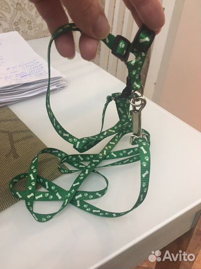 Шлейка и поводок для собачки