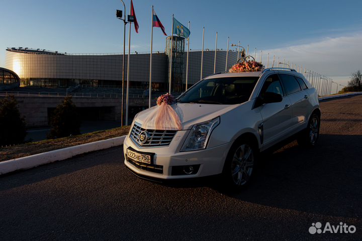 Аренда автомобиля