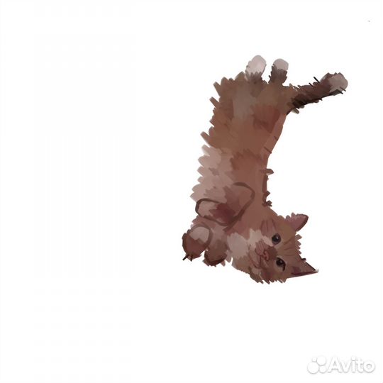 Рисунки животных