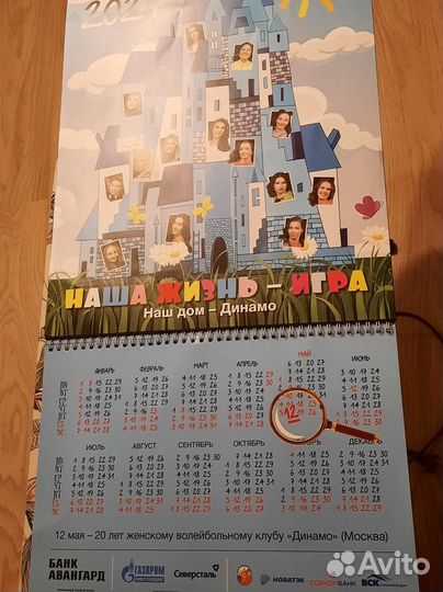 Календарь Динамо волейбол