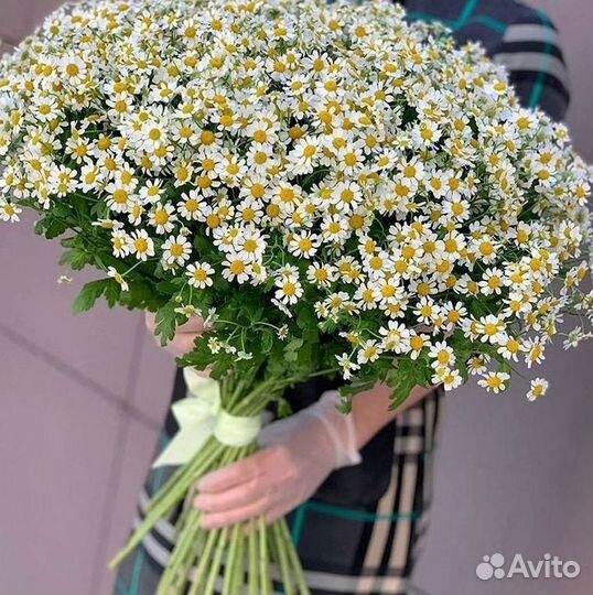 Букеты. Доставка ромашек
