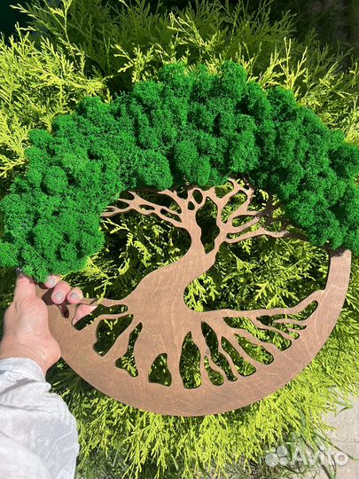 Лазерная резка фанеры + мох стабилизированный