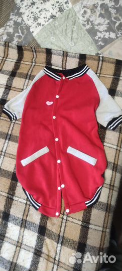 Одежда для собак