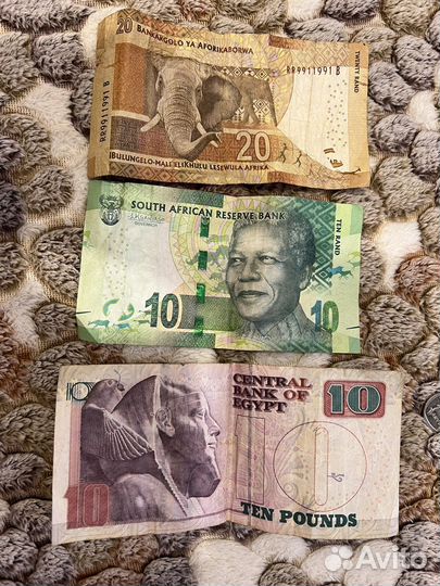 Сувенирные деньги Египет, юар