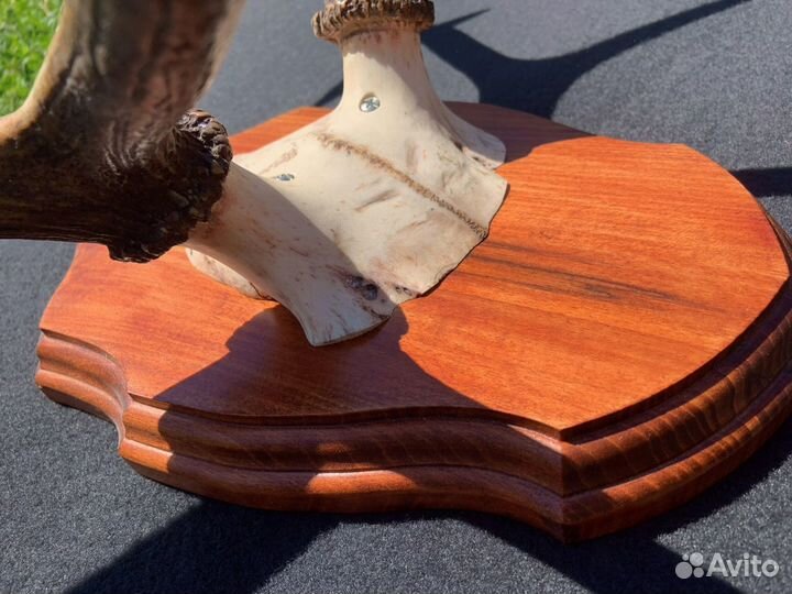 Рога в баню, беседку, частный дом