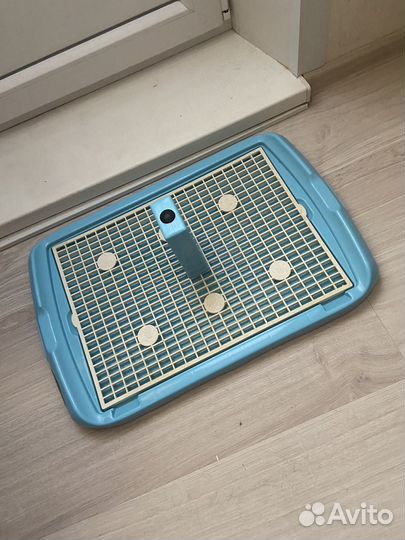 Лоток для собак