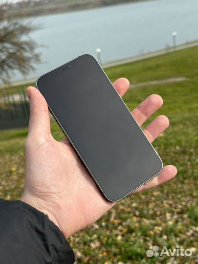 iPhone 12 Pro Max, 256 ГБ