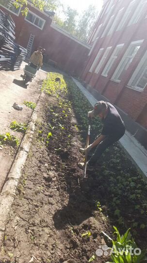 Услуги разнорабочих