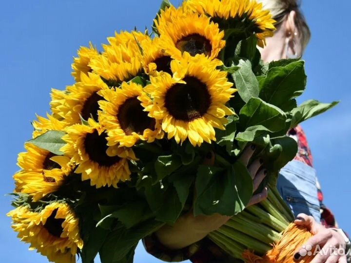 Букет из подсолнухов