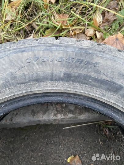 Roadstone Winguard 175/65 R14