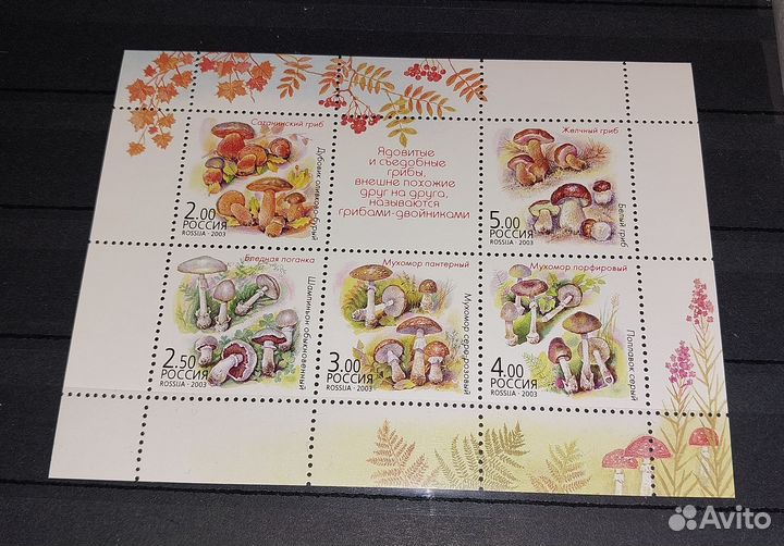 Марки Россия. Растения цветы, ягоды 1993 - 1999