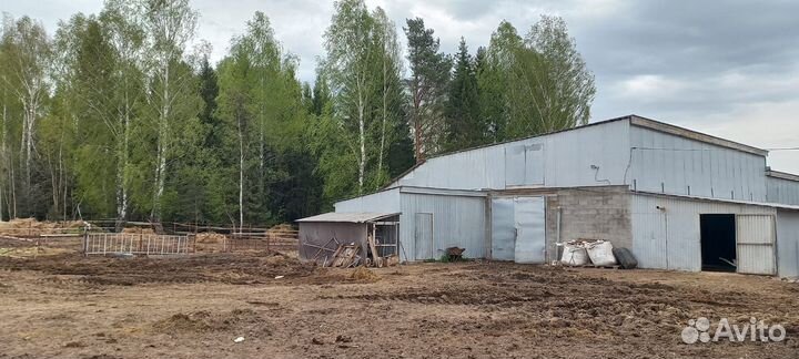 Продам фермерское хозяйство