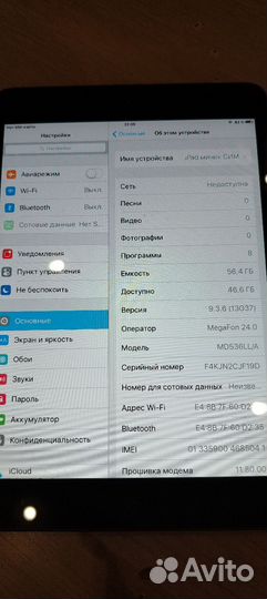 iPad mini