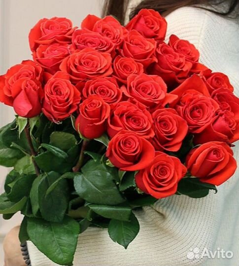 Роза Эквадор С большим бутоном 80 см сорт Нина