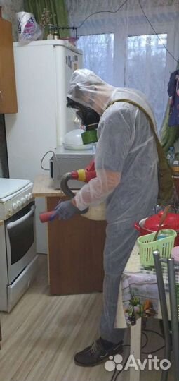 Уничтожение тараканов в квартире