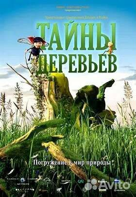 Мобильный планетарий и интерактивные игры на стене