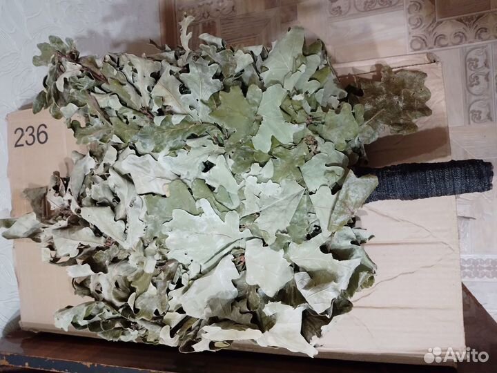 Дубовые веники для бани