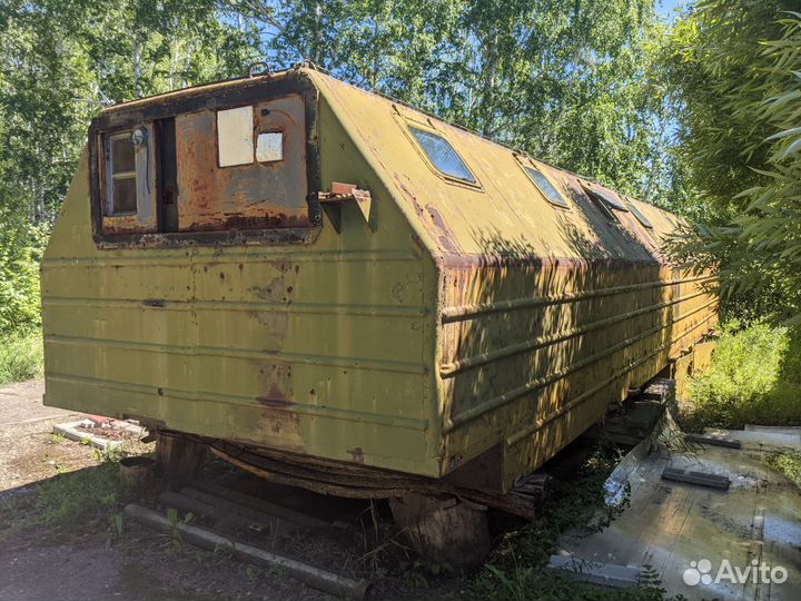 Кунг армейский