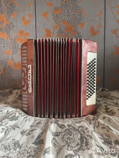 Аккордеон