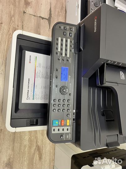 Мфу Kyocera M6030cdn