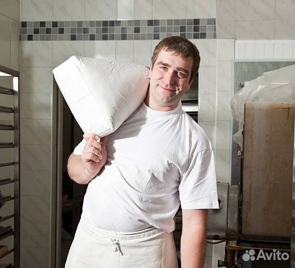 Подсобный Рабочий на муку Ежедневные Выплаты