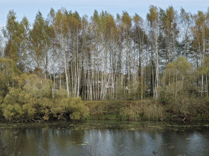 Дом 100 м² на участке 10 сот.