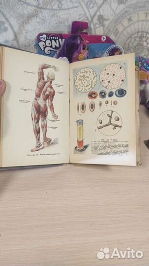 Книга по медицине: анатомия, физиология, гигиена