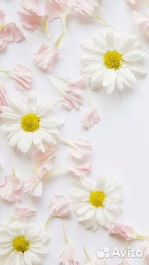 Репетитор начальных классов