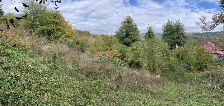 Участок 21 сот. (ИЖС)