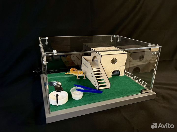 Террариум с замком для эублефара