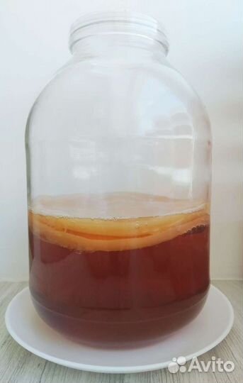 Чайный гриб