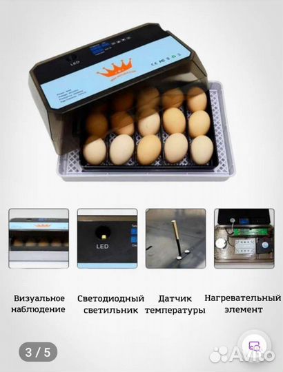 Инкубатор для яиц