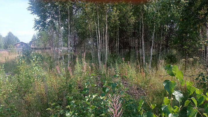 Участок 12 сот. (СНТ, ДНП)
