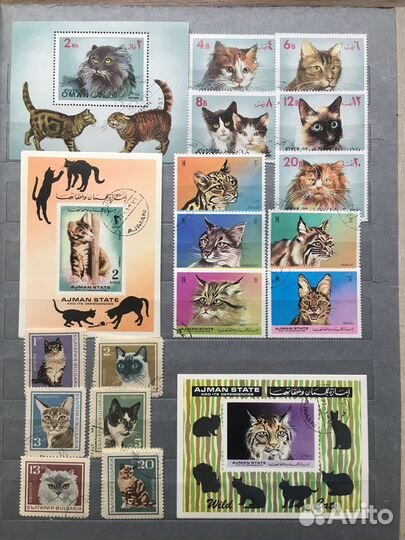 Кошки и котята