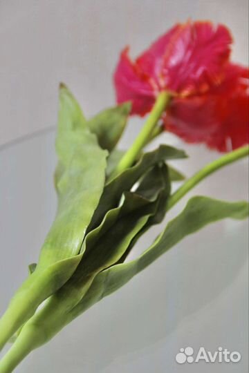 Букет тюльпанов