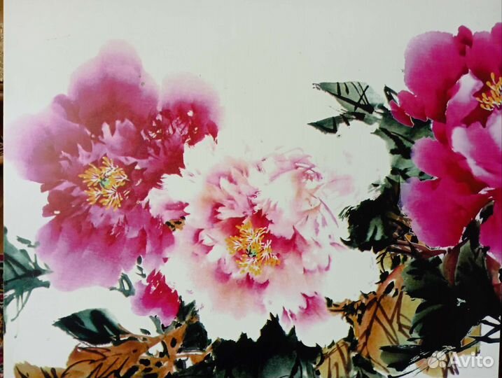 Постер пионы