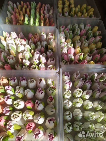 Букет из зефира