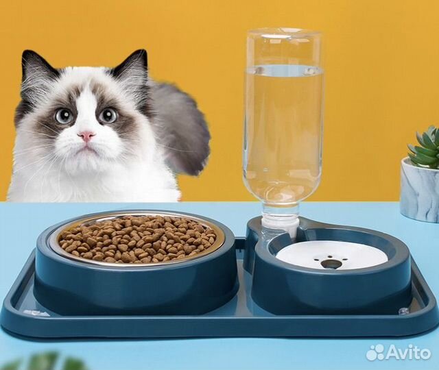 Миска для животных