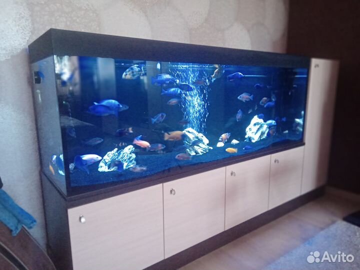 Аквариум