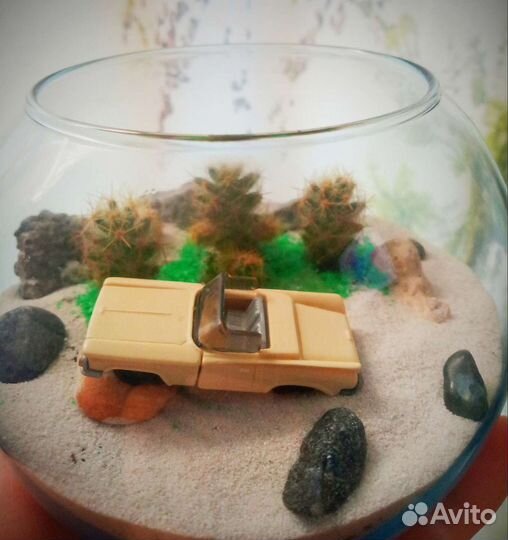 Флорариум кактусы суккуленты мини сад