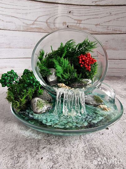 Моссариум в чайной паре-подарок на любой праздник