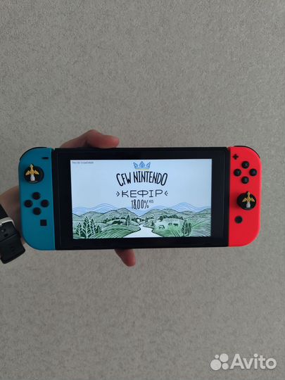 Чипованная Nintendo Switch rev 2 32+256 чехол